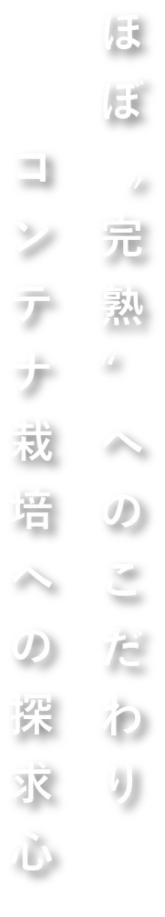 ほぼ完熟へのこだわりコンテナ栽培への探究心